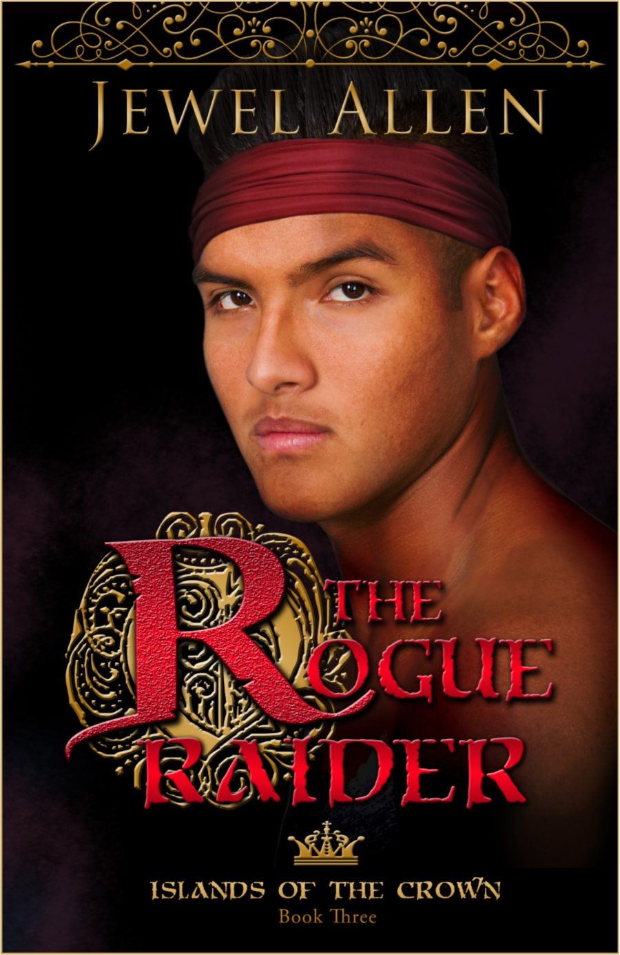 the-rogue-raider-cover-with-border